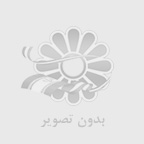 غذای گربه رفلکس مولتی کالر – Reflex Multicolor